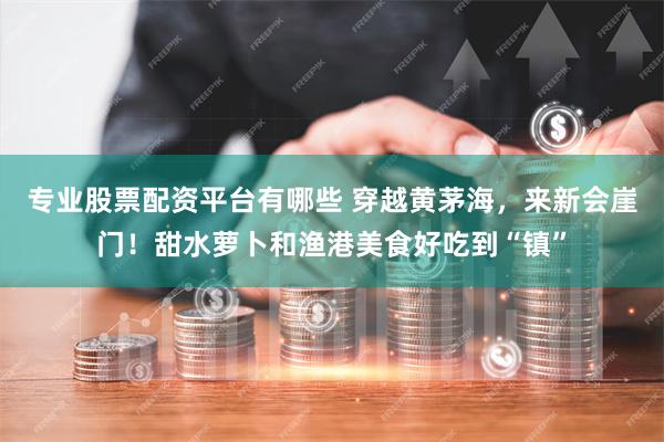 专业股票配资平台有哪些 穿越黄茅海，来新会崖门！甜水萝卜和渔港美食好吃到“镇”