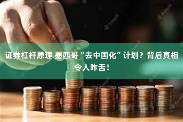 证券杠杆原理 墨西哥“去中国化”计划？背后真相令人咋舌！