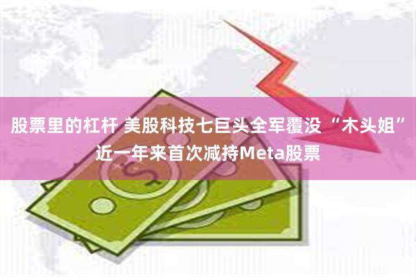 股票里的杠杆 美股科技七巨头全军覆没 “木头姐”近一年来首次减持Meta股票
