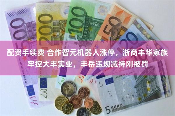 配资手续费 合作智元机器人涨停，浙商丰华家族牢控大丰实业，丰岳违规减持刚被罚