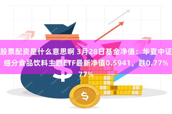股票配资是什么意思啊 3月28日基金净值：华夏中证细分食品饮料主题ETF最新净值0.5941，跌0.77%