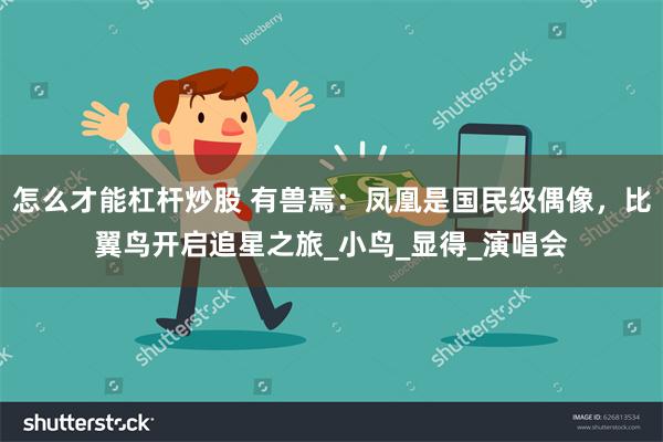 怎么才能杠杆炒股 有兽焉：凤凰是国民级偶像，比翼鸟开启追星之旅_小鸟_显得_演唱会