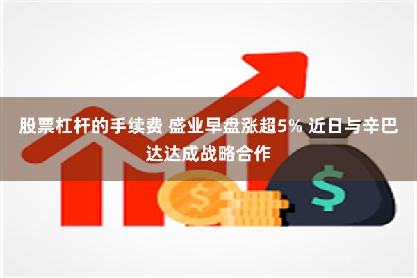 股票杠杆的手续费 盛业早盘涨超5% 近日与辛巴达达成战略合作