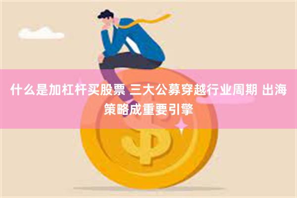 什么是加杠杆买股票 三大公募穿越行业周期 出海策略成重要引擎