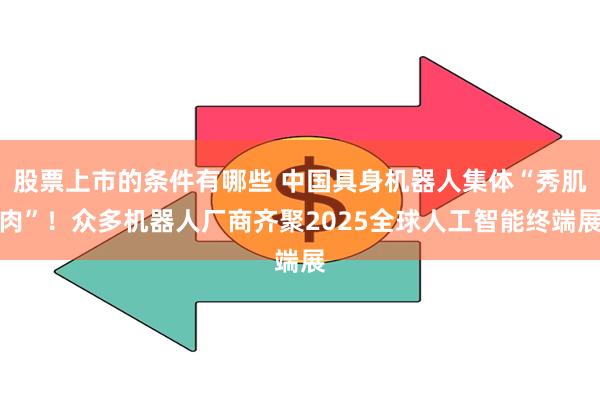 股票上市的条件有哪些 中国具身机器人集体“秀肌肉”！众多机器人厂商齐聚2025全球人工智能终端展