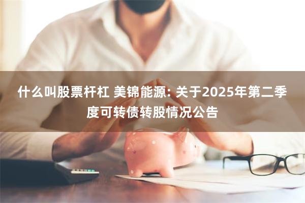 什么叫股票杆杠 美锦能源: 关于2025年第二季度可转债转股情况公告