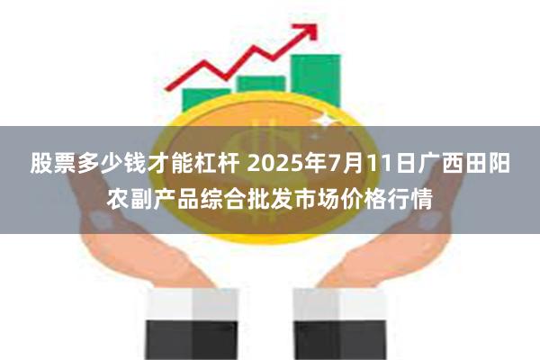 股票多少钱才能杠杆 2025年7月11日广西田阳农副产品综合批发市场价格行情