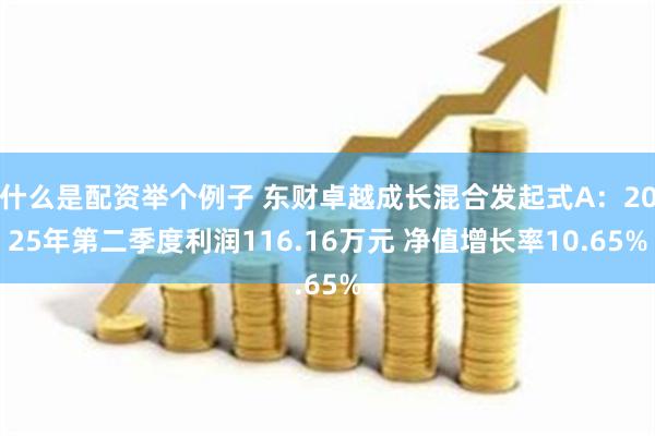 什么是配资举个例子 东财卓越成长混合发起式A：2025年第二季度利润116.16万元 净值增长率10.65%