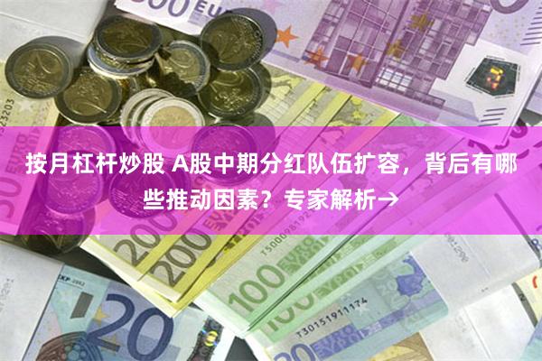 按月杠杆炒股 A股中期分红队伍扩容，背后有哪些推动因素？专家解析→