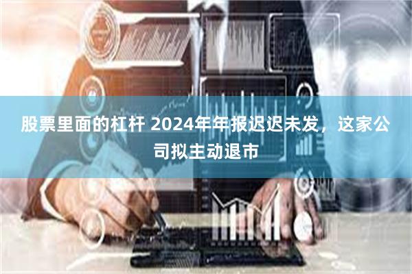 股票里面的杠杆 2024年年报迟迟未发，这家公司拟主动退市