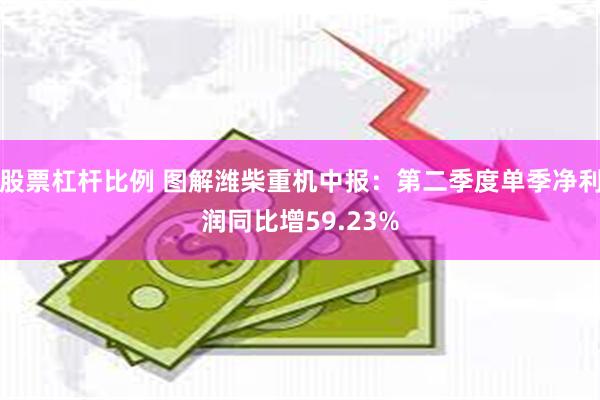 股票杠杆比例 图解潍柴重机中报：第二季度单季净利润同比增59.23%